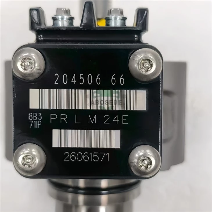 20450666